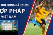 Khái quát về nhà cái trực tuyến D9Bet cho anh em tân thủ tham khảo