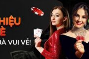 Nhà cái D9bet có rất nhiều thành viên tham gia